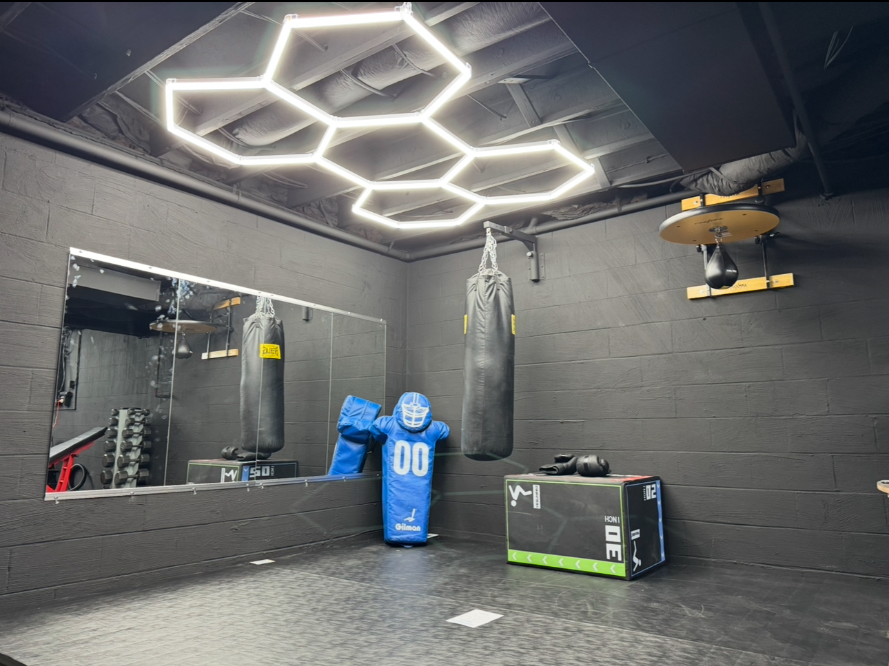 Finished basement with clean walls, new flooring, and modern lighting